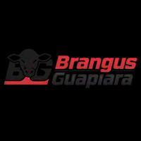 Logo Brangus