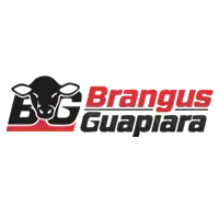 Logo Brangus